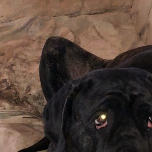 Meet your Posher, Raymond